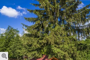 Galeria Pensjonatu 2017